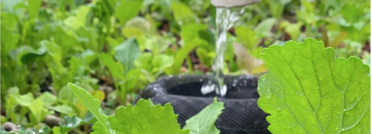 aquabundance modular bountiful aquaponics system